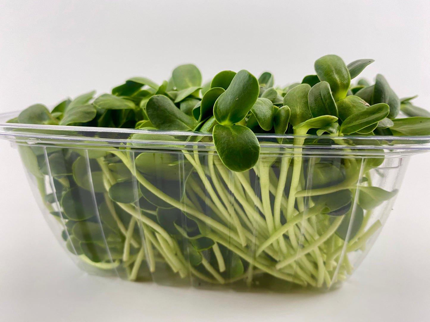 Sunflower Microgreens