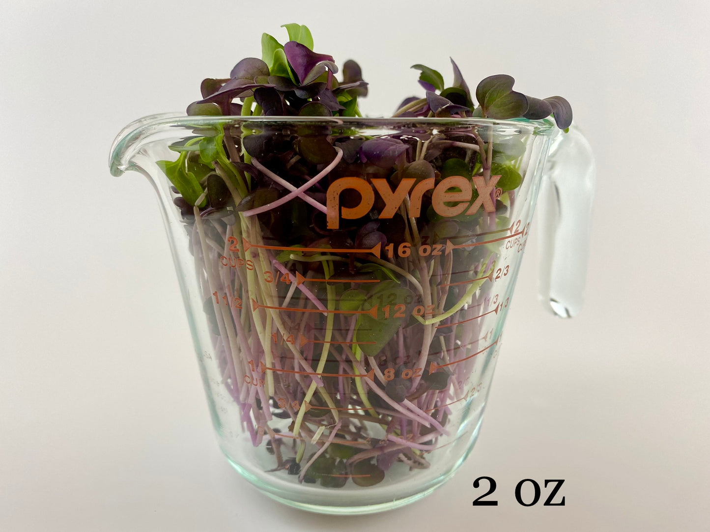 Radish Microgreens