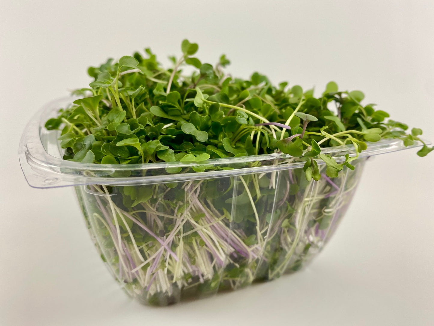 Microgreens Mix