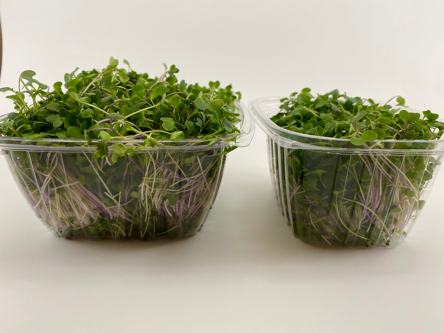 Microgreens Mix