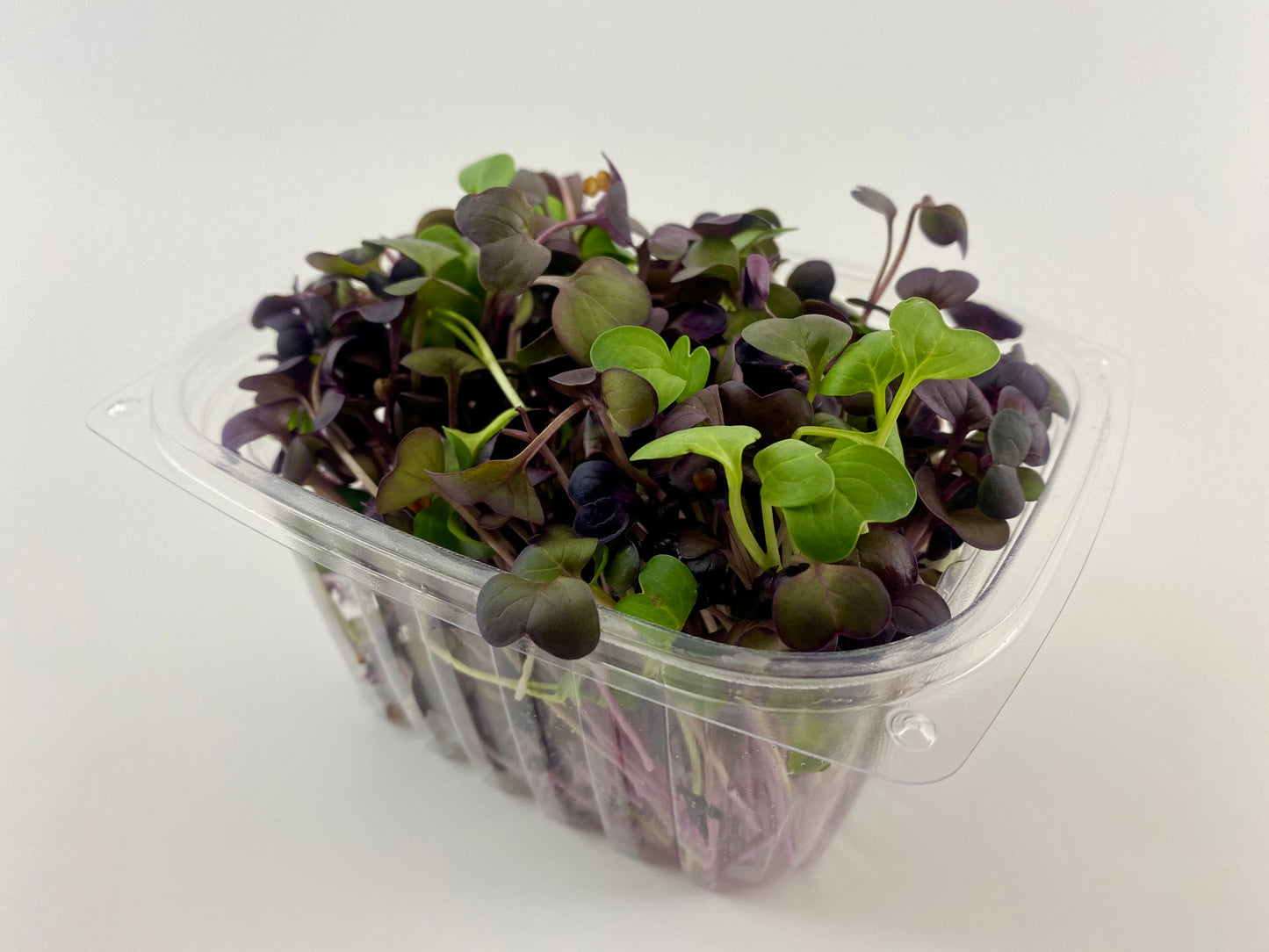 Radish Microgreens