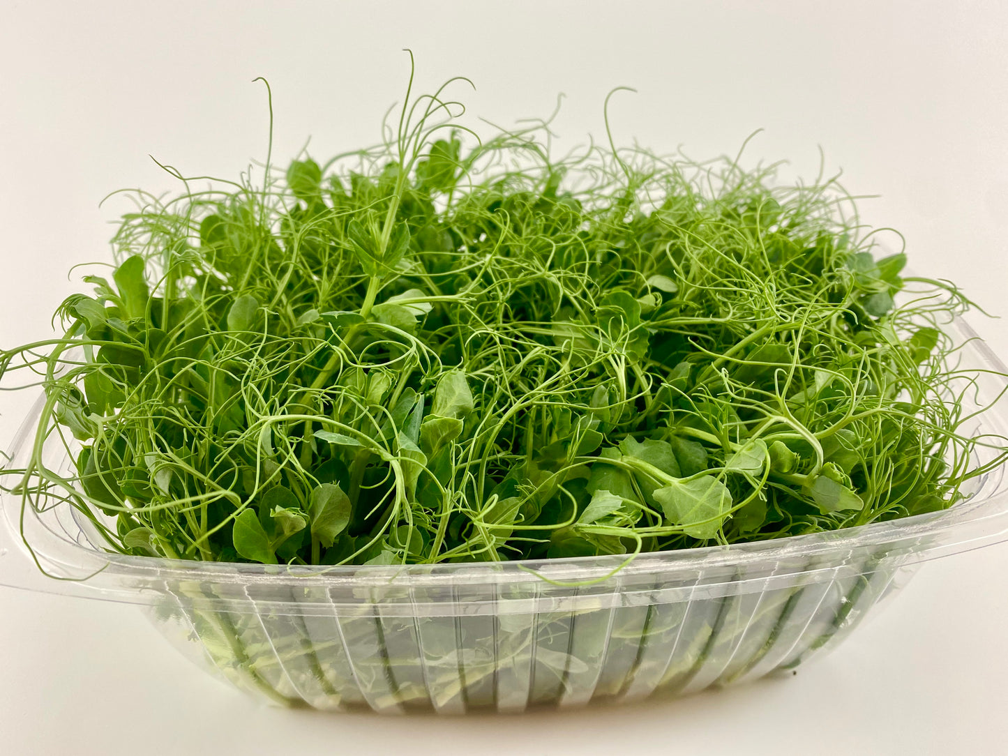 Sweet Pea Microgreens